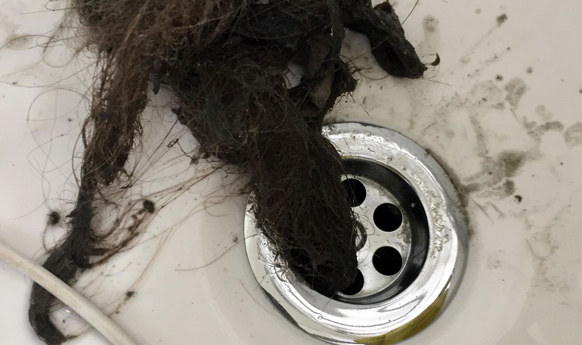 https://northeastplumbing.com.au/wp-content/uploads/2023/04/Clearing-a-blocked-drain-hair.jpg